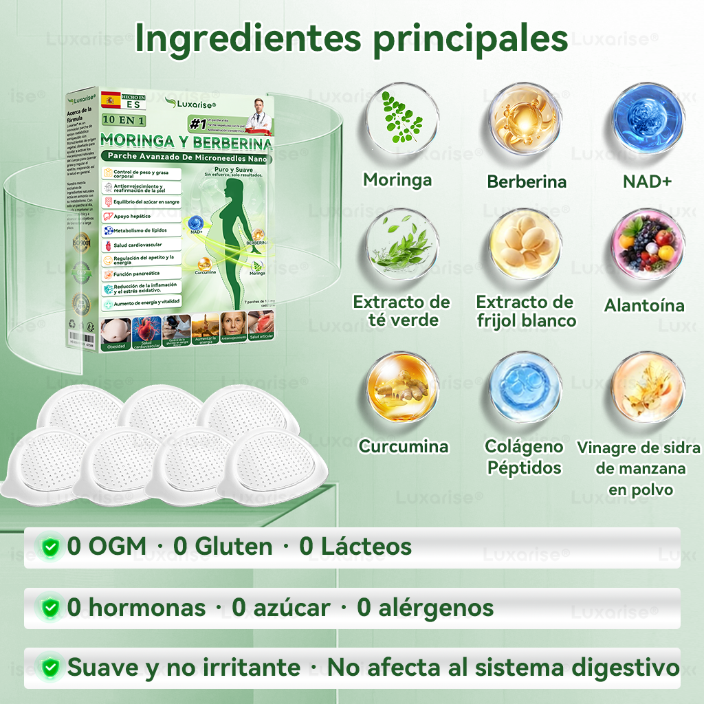 𝑳𝒖𝒙𝒂𝒓𝒊𝒔𝒆® 🥑 Moringa & Berberina 10 en 1 Parche Avanzado de Microagujas Nano (Uso diario, cambios visibles en 7 días) 👩‍⚕️ Obesidad, Diabetes, Apnea del Sueño y Problemas Articulares