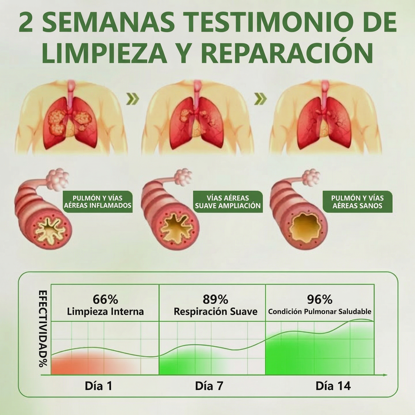 👩‍💼 Difusor de cuidado pulmonar a base de hierbas Timilk® con verbasco (Mullein)