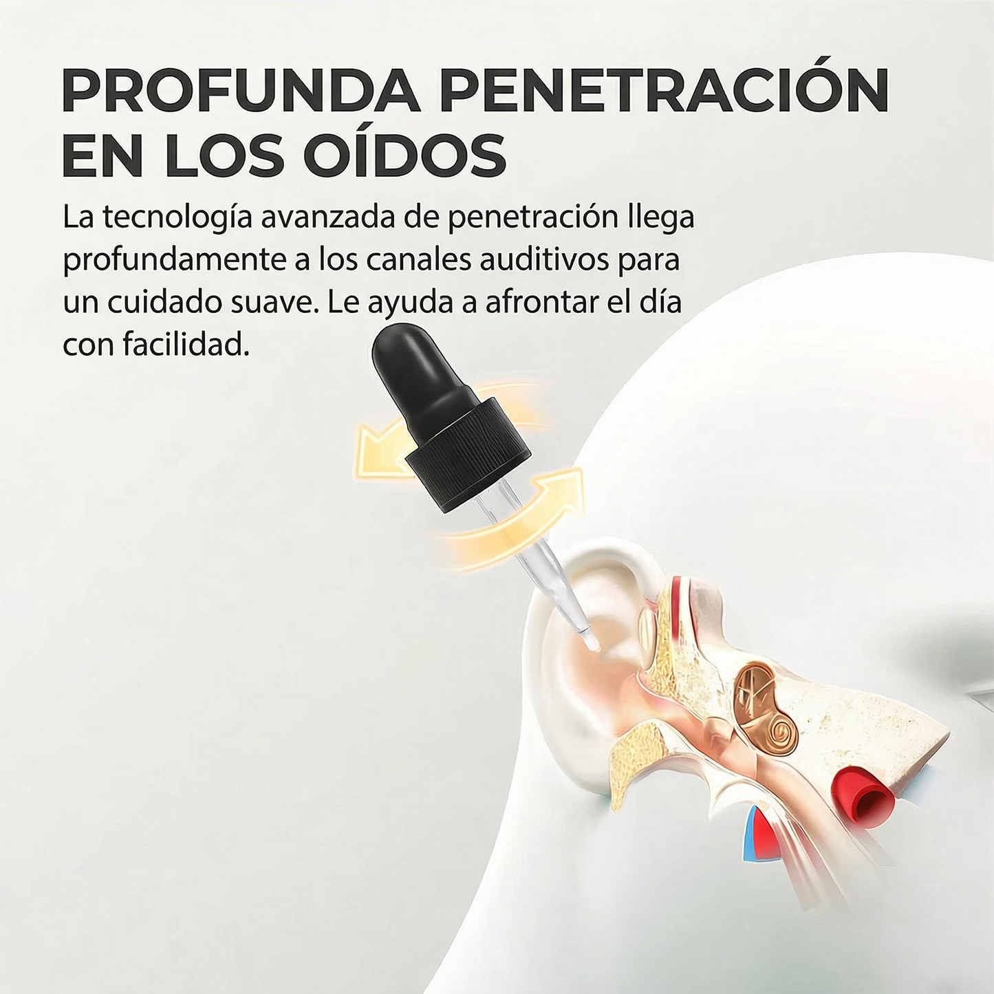 Zavrly Gotas para el tinnitus para unos oídos despejados y un confort absoluto – Obtenga un alivio instantáneo del tinnitus y las molestias auditivas🎶