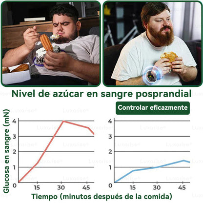 𝑳𝒖𝒙𝒂𝒓𝒊𝒔𝒆® 🥑 Moringa & Berberina 10 en 1 Parche Avanzado de Microagujas Nano (Uso diario, cambios visibles en 7 días) 👩‍⚕️ Obesidad, Diabetes, Apnea del Sueño y Problemas Articulares